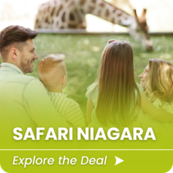 Everything You Need to Know About Safari Niagara