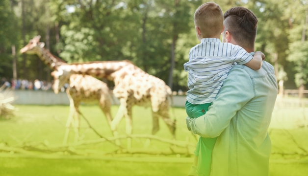 Everything You Need to Know About Safari Niagara (2026 Guide)
