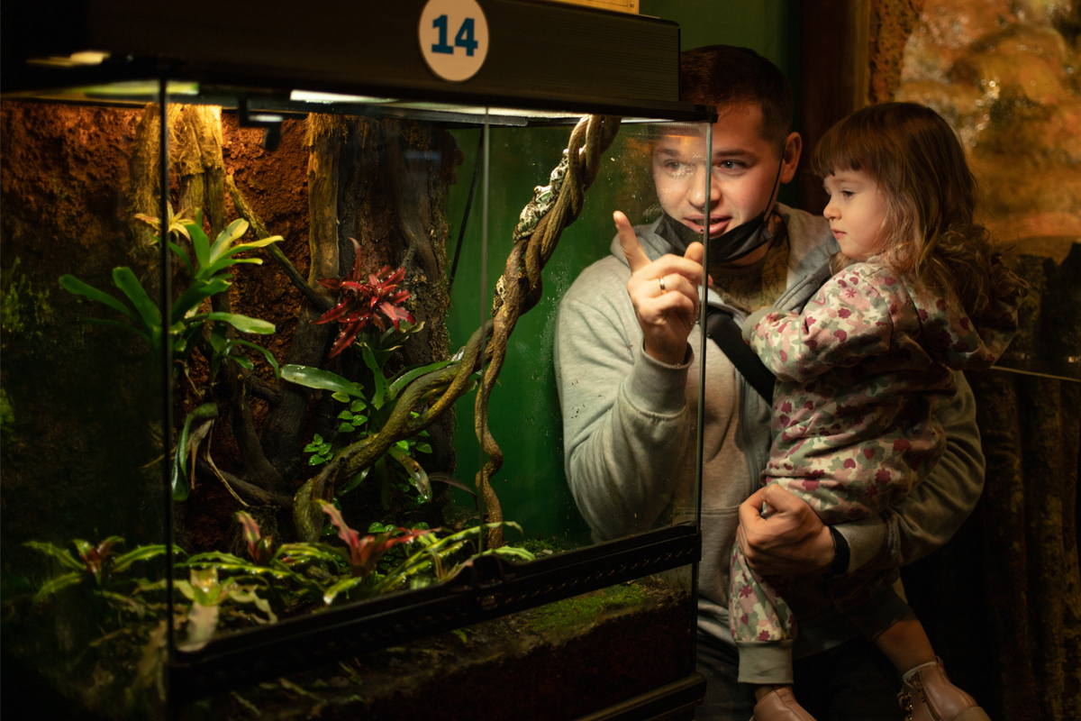 Things to do in February with WagJag - hero image