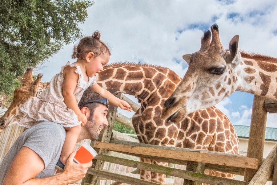 Family exploring Safari Niagara