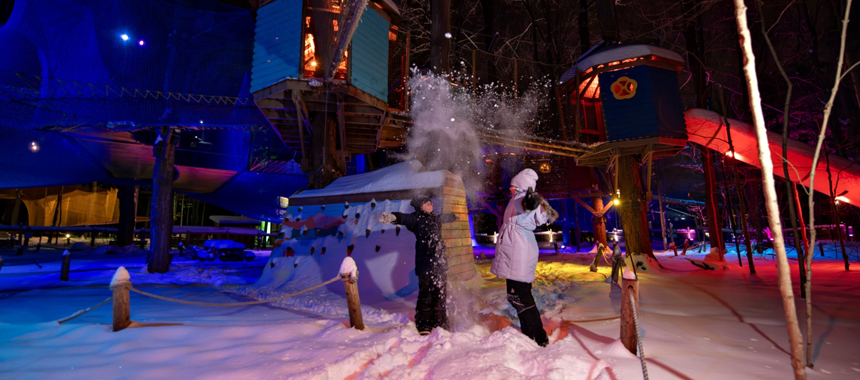 A treetop ropes course in a forest setting at night. Friends playing in snow