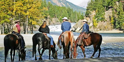 Image of $29 & up - Horseback Tour in Banff National Park Thru Summer