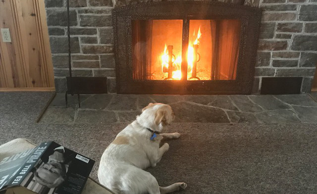 Image of FLASH SALE! Romantic Spring Muskoka Getaway for Two by the Water in Penn Lake 