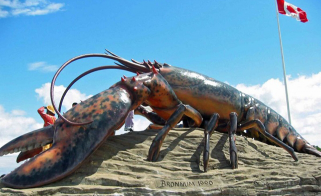 Image of 7 Days East Coast Maritimes Bus Tour Package from $299: With Transportation, Hotels, Tours & More!