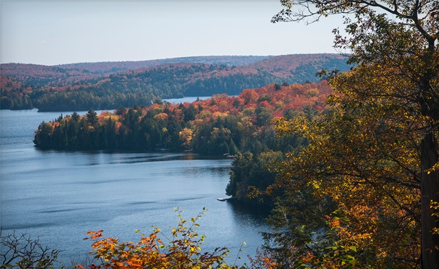 Image of 2-Night Summer Getaway and Culinary Experience in South Algonquin