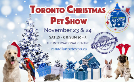 Adult Activities Toronto Adult Activities Toronto