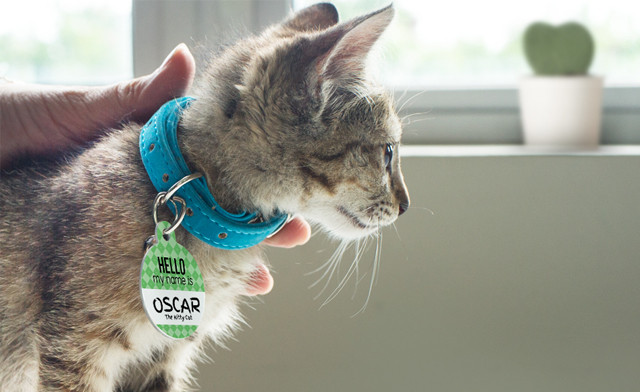 Image of Up to 87% off Photobooks and More from Photobook Canada