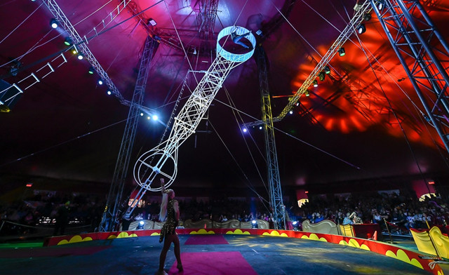 Image of Up to 44% off General Admission Tickets to the Royal Canadian Family Circus in Scarborough, Burlington, Mississauga and Etobicoke