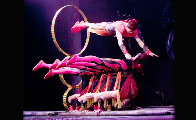 Image of Up to 44% off General Admission Tickets to the Royal Canadian Family Circus in Scarborough, Burlington, Mississauga and Etobicoke