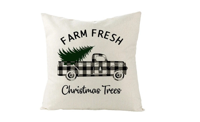 Image of $19 for 2 Christmas Cushion Covers (a $39 Value)