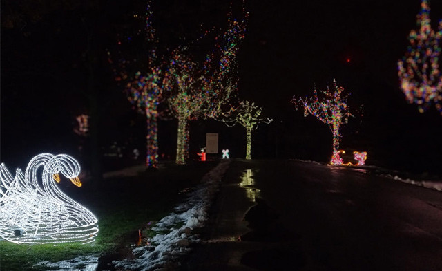 Image of FLASH SALE! 50% off Admission to the Journey Into Enchantment Christmas Drive Thru Festival