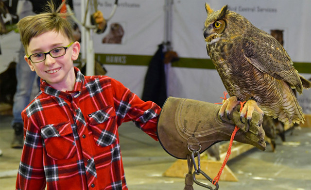 Image of FLASH SALE! $75 for a Family Ride and Snack Package to SpringFest TO at the Markham Fair Grounds (a $103 Value)