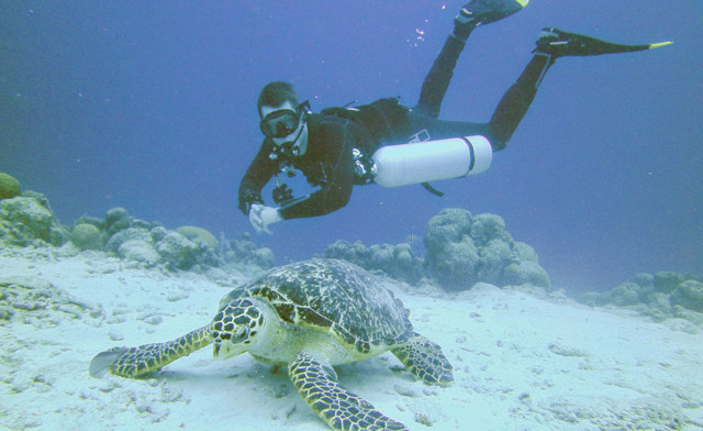 Image of $20 for Two 3-Day Weekend Passes to the Toronto Outdoor Adventure Show