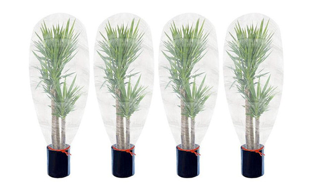 Image of Up to 42% off a Plant Protection Net