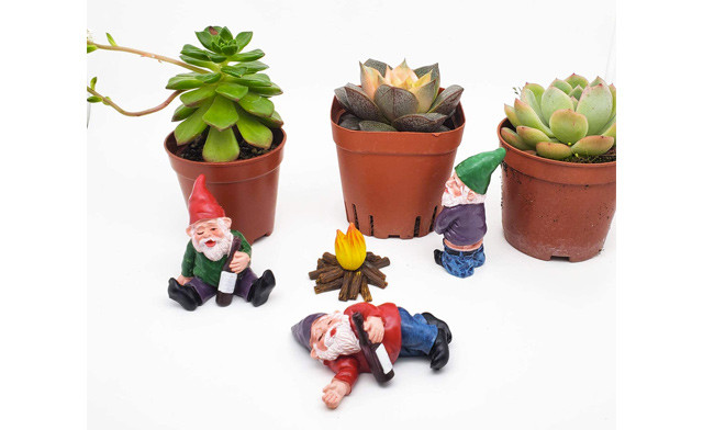 Image of $20.95 for a 4-Piece Mini Drunk Garden Gnome Set (a $49 Value)