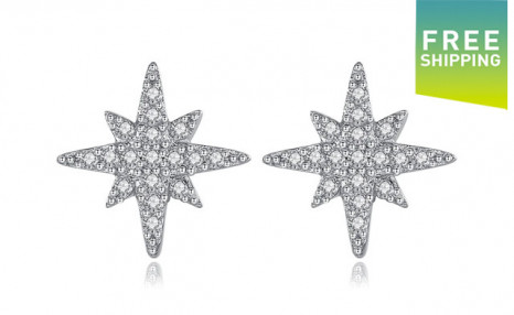 $19.95 for a Pair of Sterling Silver Star Earrings (a $29.99 Value) $19.95 for a Pair of Sterling Silver Star Earrings (a $29.99 Value)