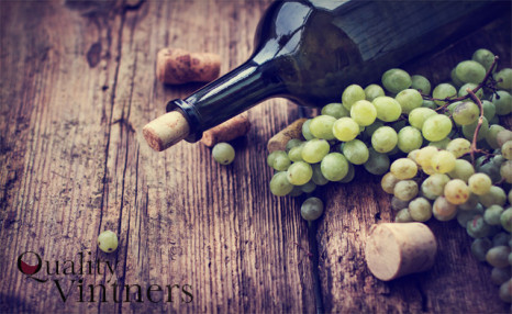 Black Friday Flash Sale! $69 for a Premium Winemaking Experience with 30 Bottles of Wine ($145 Value) Black Friday Flash Sale! $69 for a Premium Winemaking Experience with 30 Bottles of Wine ($145 Value)