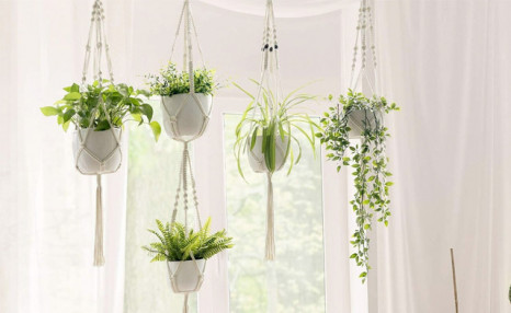 $15.95 for a 4-Pack of Macrame Plant Hangers (a $58.99 Value) $15.95 for a 4-Pack of Macrame Plant Hangers (a $58.99 Value)