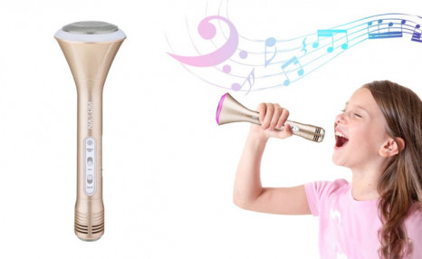 $15.95 for a Wireless Karaoke Microphone for Kids (a $55 Value) $15.95 for a Wireless Karaoke Microphone for Kids (a $55 Value)