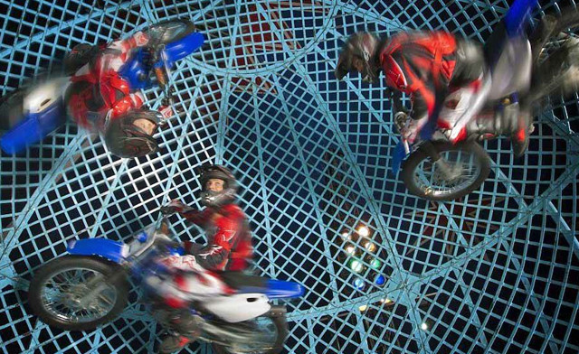 $15 for General Admission to the Royal Canadian Circus | WagJag