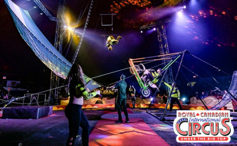 $15 for General Admission to the Royal Canadian Circus | WagJag