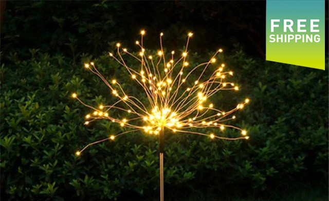 Image of $22.95 for an Outdoor Firework Light (a $37.50 value)
