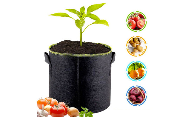 Image of $21.95 for a Felt Plant Grow Bag (a $40 Value)