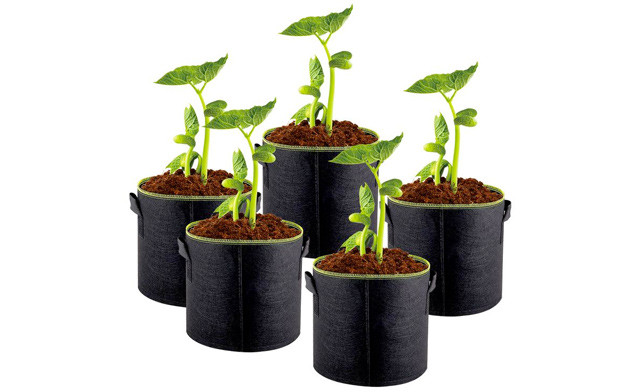 Image of $21.95 for a Felt Plant Grow Bag (a $40 Value)