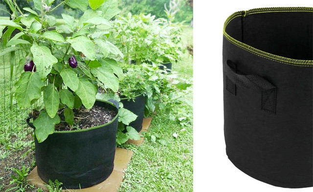 Image of $21.95 for a Felt Plant Grow Bag (a $40 Value)