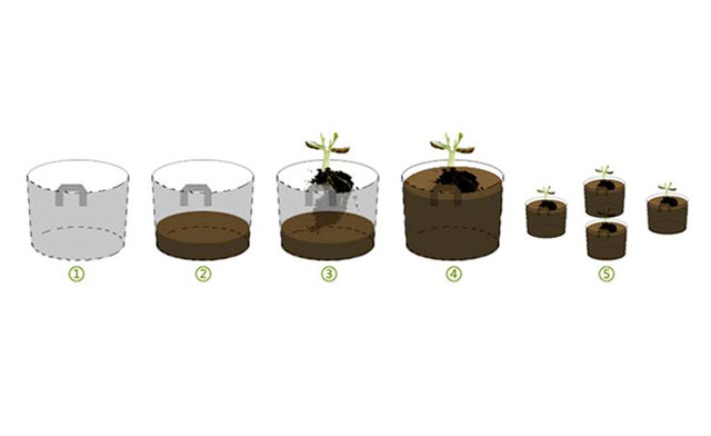 Image of $21.95 for a Felt Plant Grow Bag (a $40 Value)