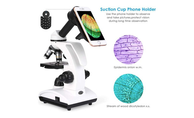 Image of $49.95 for a 40-1000X Cordless Compound Microscope (a $129.99 Value)