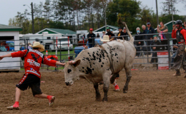 Image of $11 and Up for Admission to the  2023 Extreme Bulls & Bikes Show