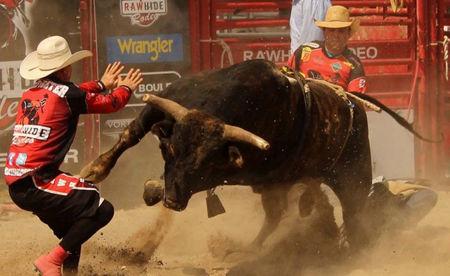 Image of $11 and Up for Admission to the  2023 Extreme Bulls & Bikes Show