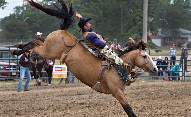 Image of $11 and Up for Admission to the  2023 Extreme Bulls & Bikes Show