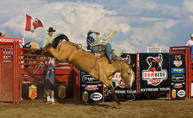 Image of $11 and Up for Admission to the  2023 Extreme Bulls & Bikes Show