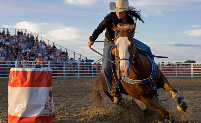Image of $11 and Up for Admission to the  2023 Extreme Bulls & Bikes Show