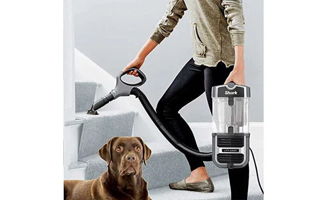 Image of $149.95 for a Shark UV725 Upright Vacuum - Refurbished (a $327.99 Value)