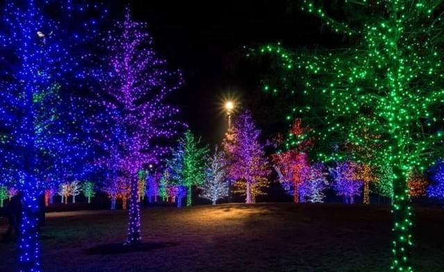 Image of Up to 35% Off Admission to A Journey Into Enchantment in Pickering