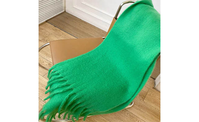 Image of $21.73 for a Women's Cashmere Blend Scarf (a $55 Value)
