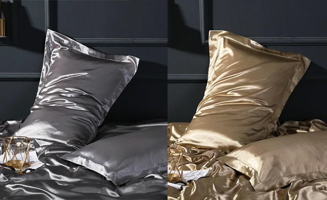 Image of $27.95 for a 2-Pack of Mulberry Silk Pillowcases (a $99 Value)