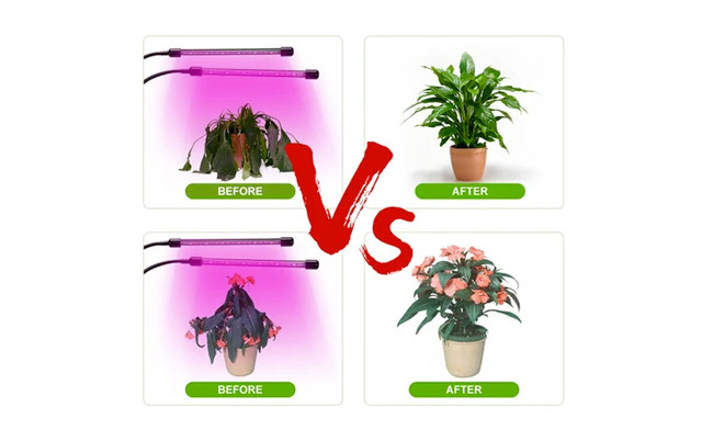 Image of $32.95 for a Dual Headed Grow Lamp (a $45 Value)