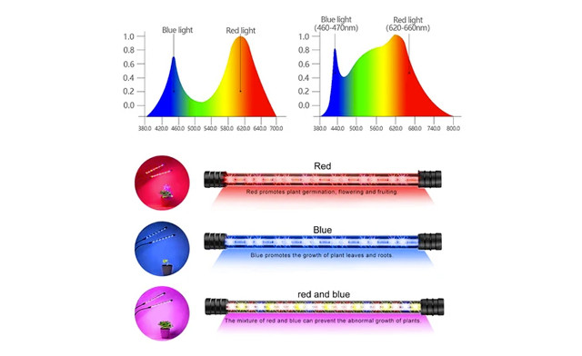 Image of $32.95 for a Dual Headed Grow Lamp (a $45 Value)