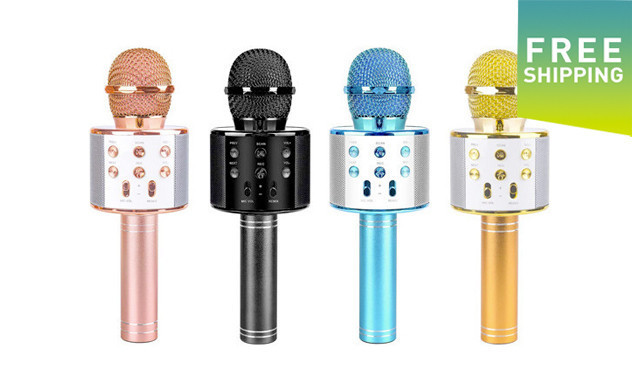 Image of $27.95 for a Karaoke Microphone (a $55.99 Value)