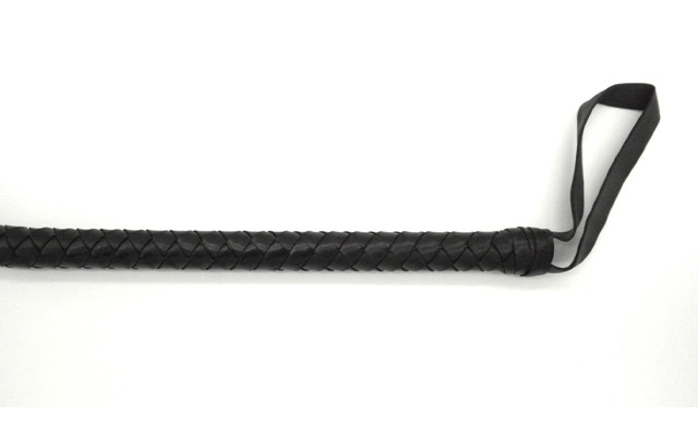 Image of $18.95 for a 65 Inch Versatile Play Whip (a $55.95 Value)