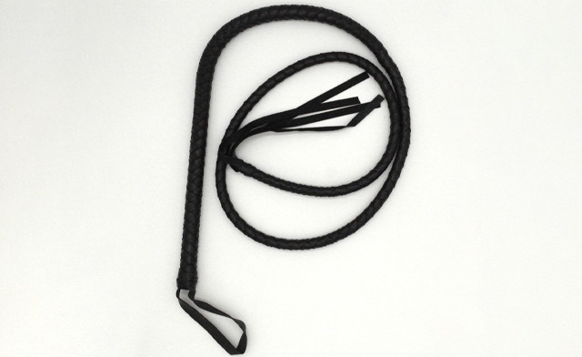 Image of $18.95 for a 65 Inch Versatile Play Whip (a $55.95 Value)