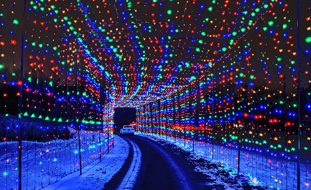 Image of $22.95 & Up for Admission for One Vehicle to Gift of Lights