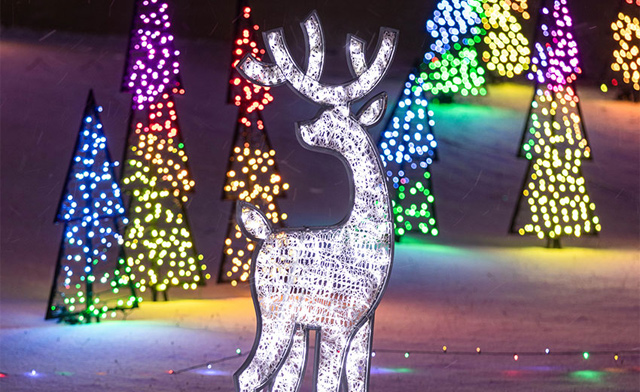 Image of $22.95 & Up for Admission for One Vehicle to Gift of Lights