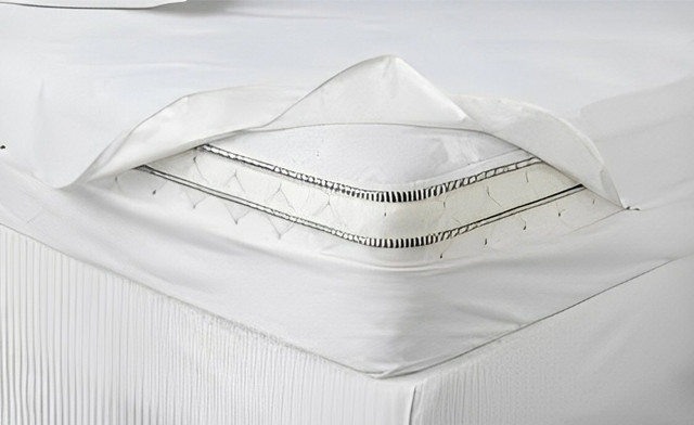 Image of Up to 74% off Mattress Bed Bug Covers