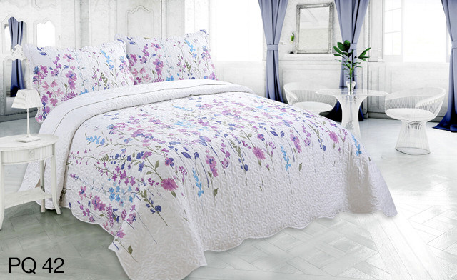 Image of Up to 72% off a Printed Stitching Quilt Set
