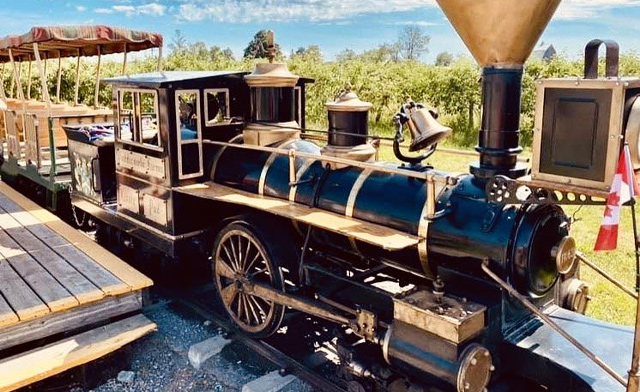 Image of Up to 37% Off Winery Train Tours at Puddicombe Farms